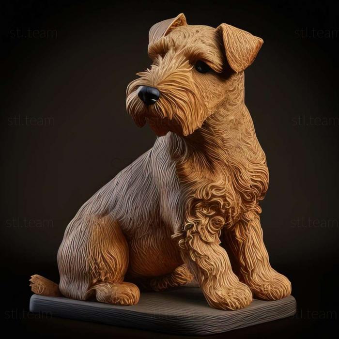 Lakeland Terrier dog